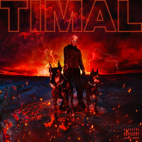 Cavaler - Timal